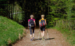 Dem gefürchteten Schlaganfall möglichst vorbeugen