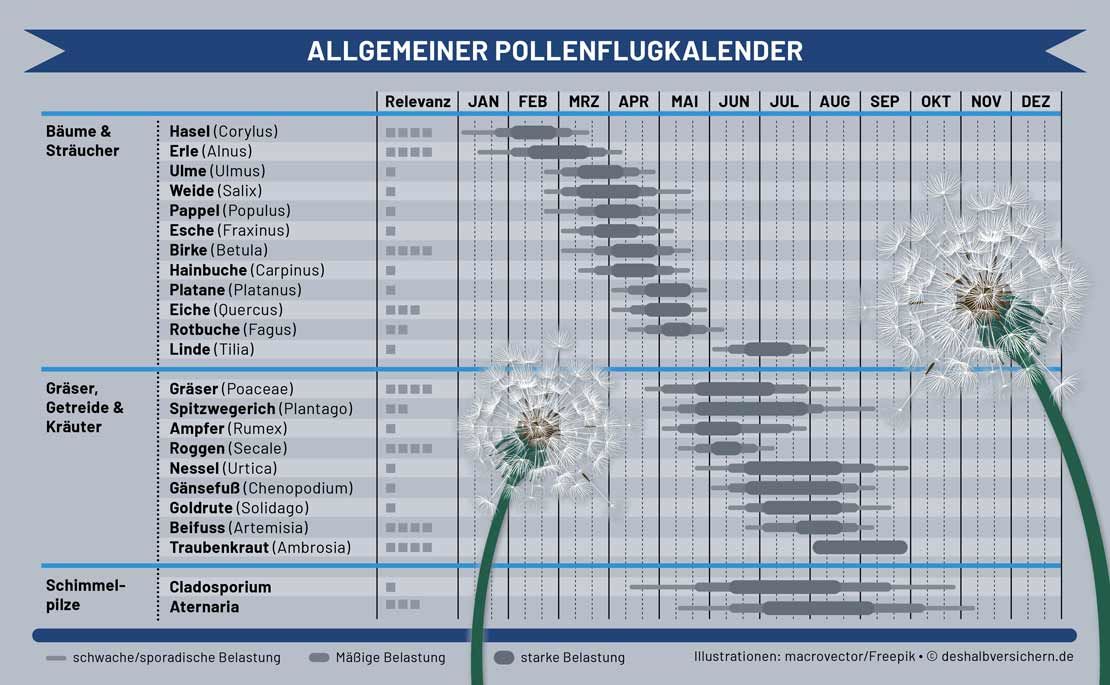 Pollenflug – Welche Pflanzen zu welcher Zeit Heuschnupfen auslösen