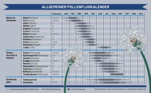 Welche Pflanzen zu welcher Zeit Heuschnupfen auslösen