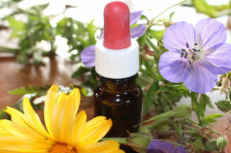 Wie Sie einen optimalen Tarif auswählen