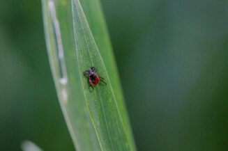 Wie Sie sich am besten schützen!