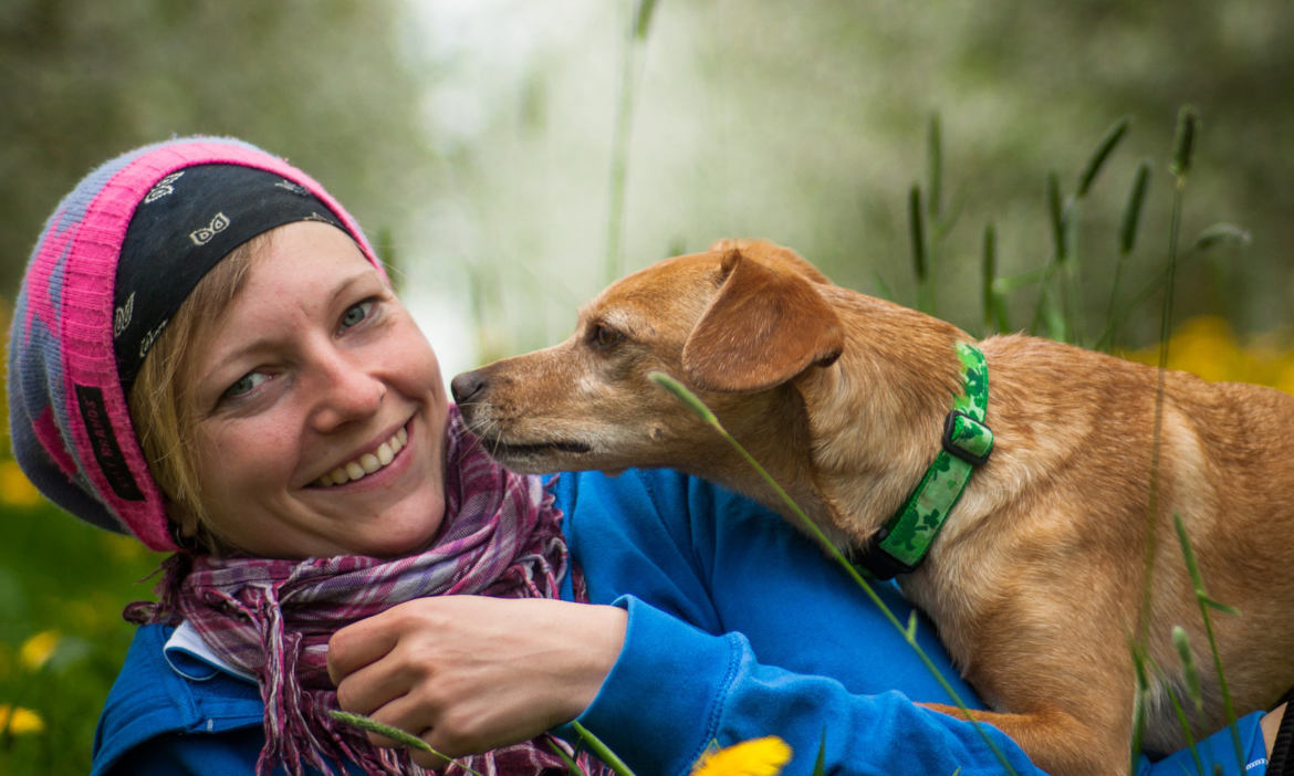 Tierhalterhaftpflicht: Für Hunde- und Pferdehalter unverzichtbar