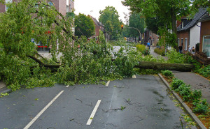 7 Tipps, wie Hausbesitzer ihre Immobilie schützen können