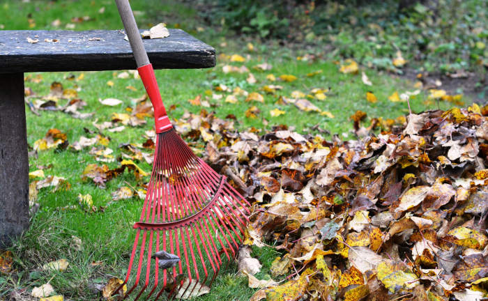 Gefährliches Herbstlaub: Wer muss die Blätter vom Gehweg fegen?