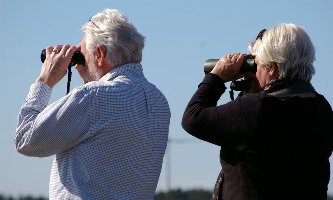 10 Jahre Mini-Zinsen: Wie im Niedrigzinsumfeld für das Alter gespart werden kann