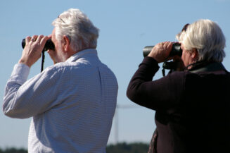Wie im Niedrigzinsumfeld für das Alter gespart werden kann