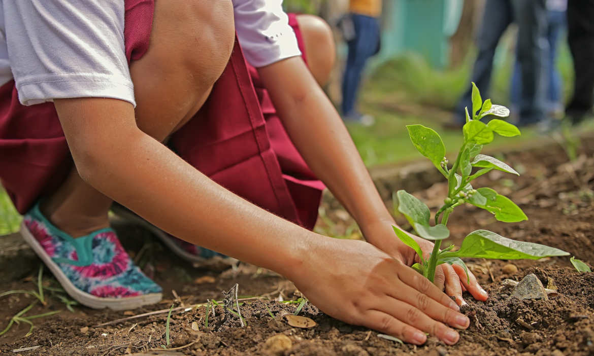 Trend zur Nachhaltigkeit: Grüne Versicherungen auf dem Vormarsch
