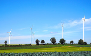Wenn Firmen sich zu ihrer Verantwortung bekennen