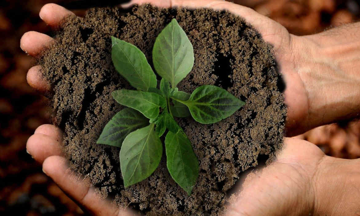 Geld anlegen mit gutem Gewissen: So arbeiten nachhaltige ETFs