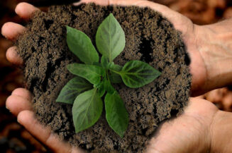 So arbeiten nachhaltige ETFs