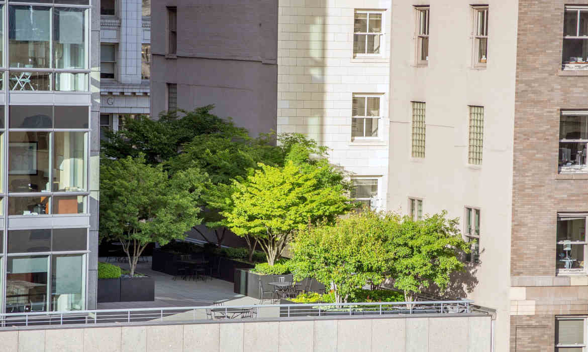 Alles nur Marketing? – Was bedeutet eigentlich Nachhaltigkeit bei einer Versicherung?