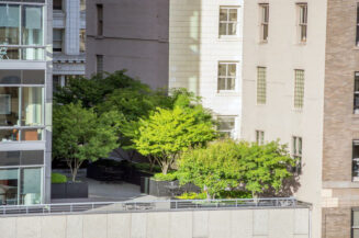 Was bedeutet eigentlich Nachhaltigkeit bei einer Versicherung?