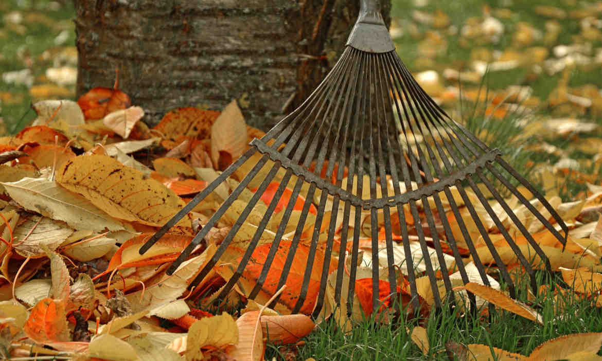 Sturzgefahr durch Herbstlaub: Wer die Blätter vom Gehweg räumen muss
