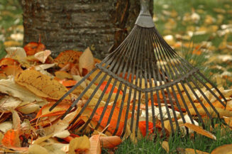 Wer die Blätter vom Gehweg räumen muss