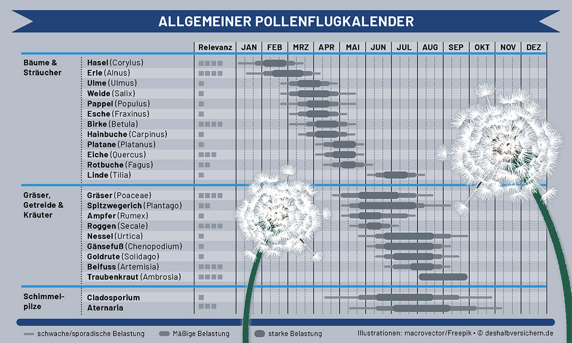 Trotz Pollenallergie fit durch den Frühling
