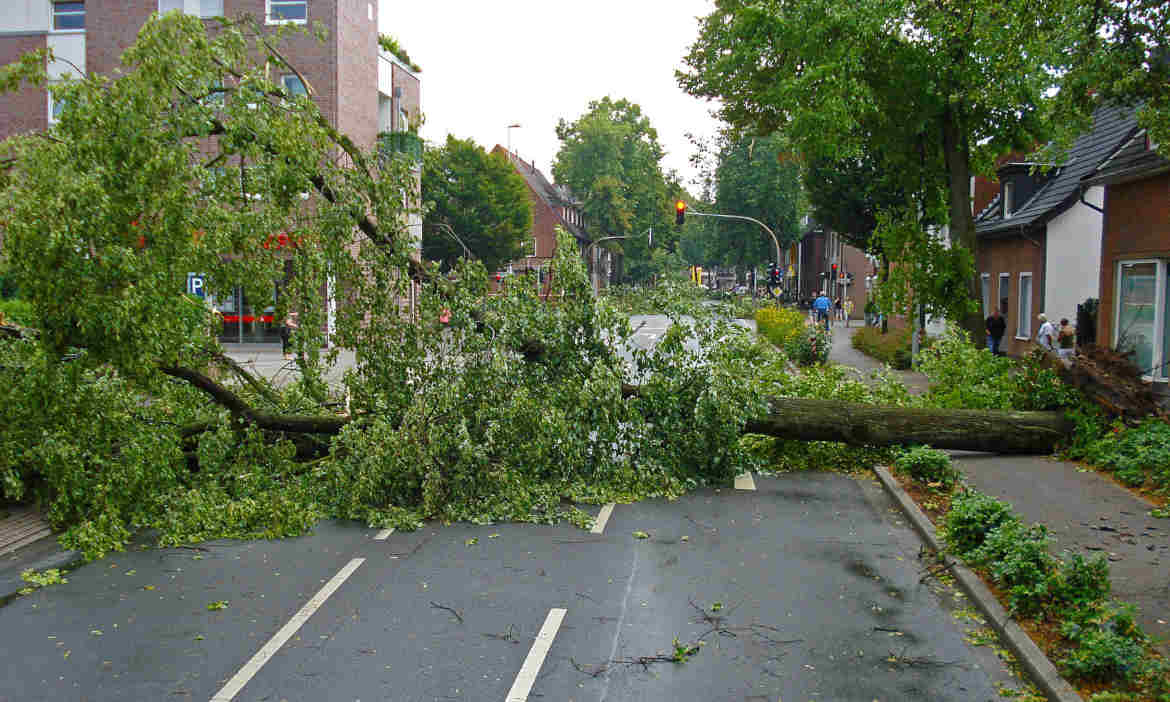Wenn Stürme übers Land ziehen: Diese Verkehrssicherungspflicht haben Hausbesitzer