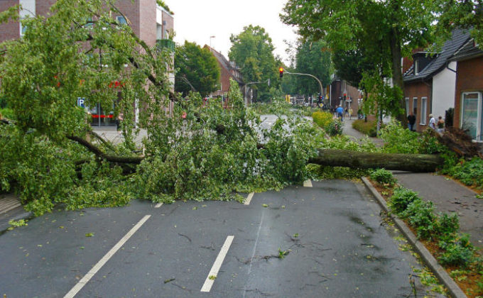 Wenn Stürme übers Land ziehen: Diese Verkehrssicherungspflicht haben Hausbesitzer