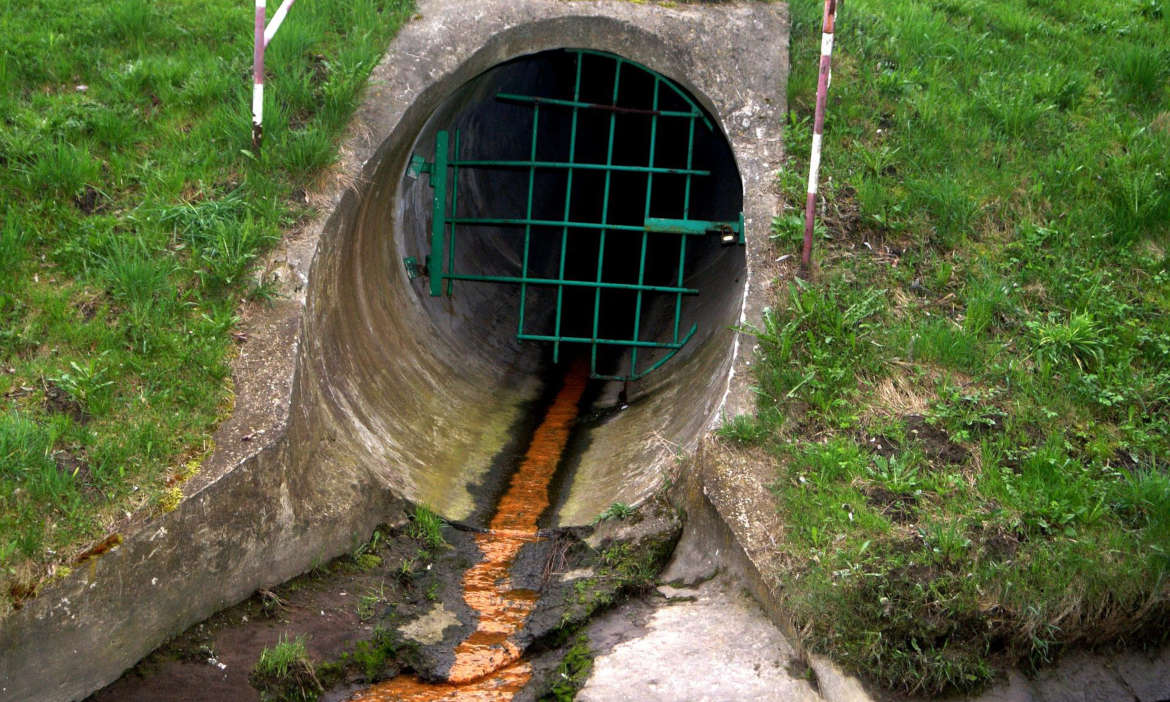 So schützen sich Betriebe vor Umweltschäden