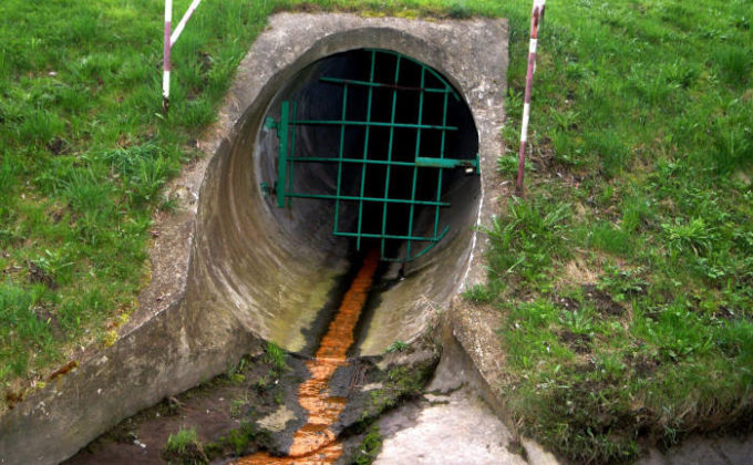 So schützen sich Betriebe vor Umweltschäden