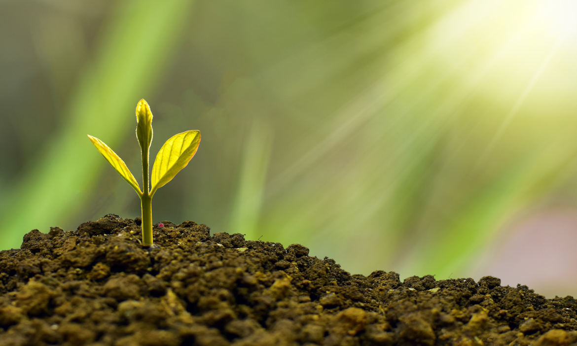 Was Sie über nachhaltige Versicherungen wissen sollten
