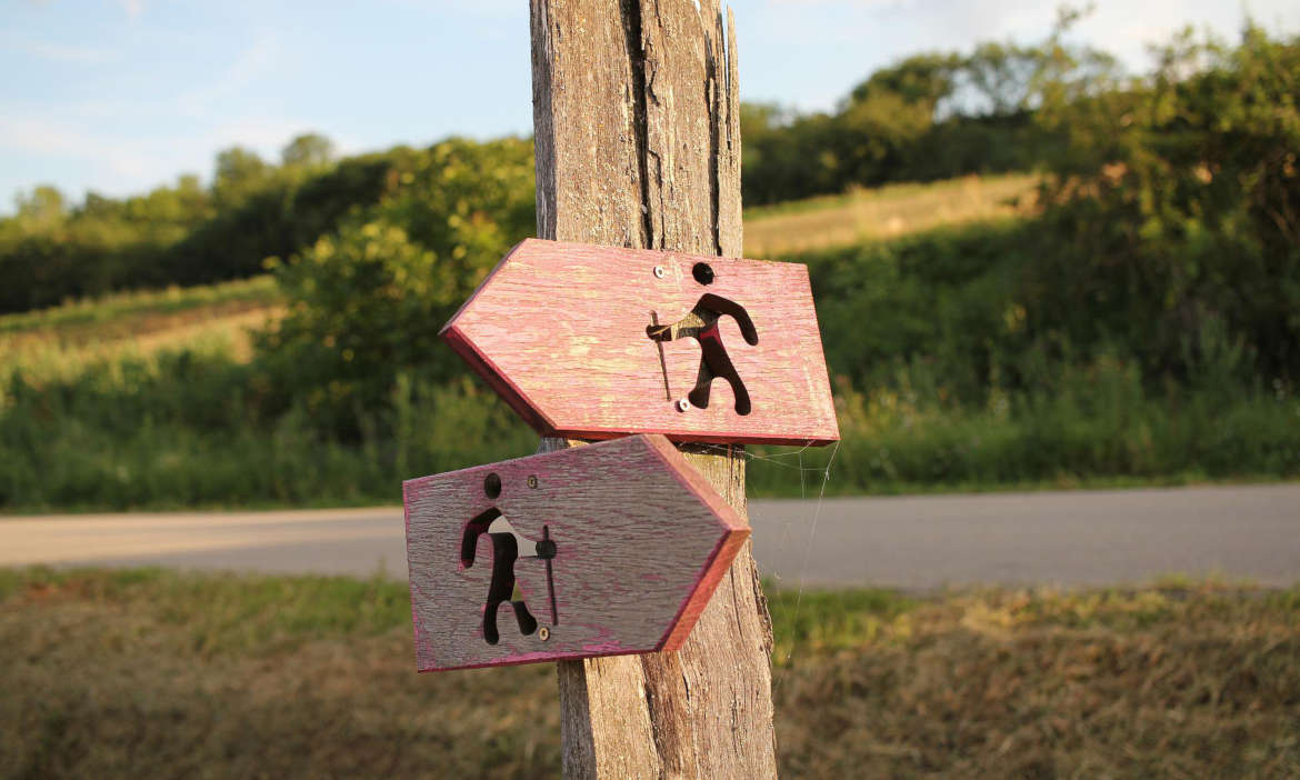 Optionstarife – die Eintrittskarte in die private Krankenversicherung