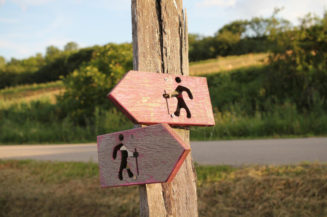 Optionstarife – die Eintrittskarte in die private Krankenversicherung