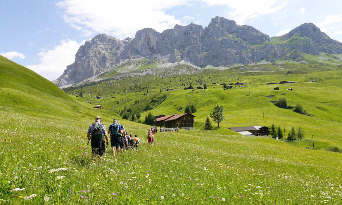 Unterwegs im Grünen – was Sie jetzt über Zecken wissen sollten