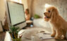 Mit Hund ins Büro – so klappt es mit dem neuen Teammitglied